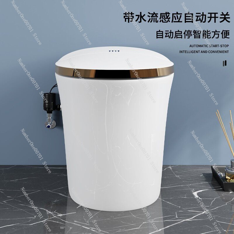 Smart Toilet Booster Pump Auto - đánh giá và giá Home Bathroom Pressure Pump
