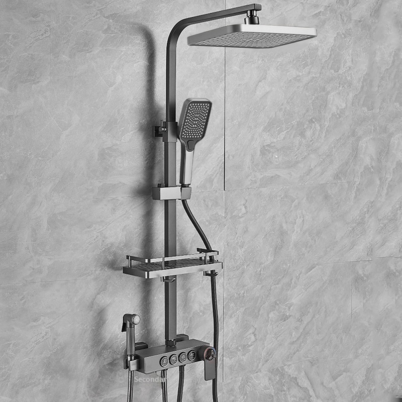Stainless Steel Shower Set Ant - đánh giá và giá Home Bath